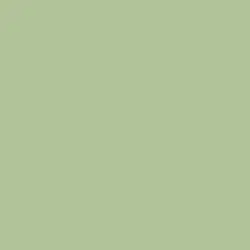 Sage green color swatch