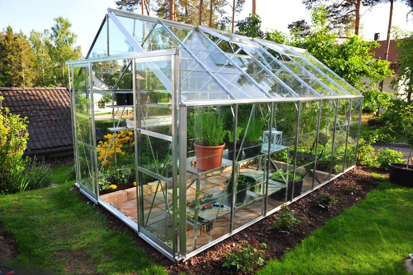 Transparent greenhouse garden