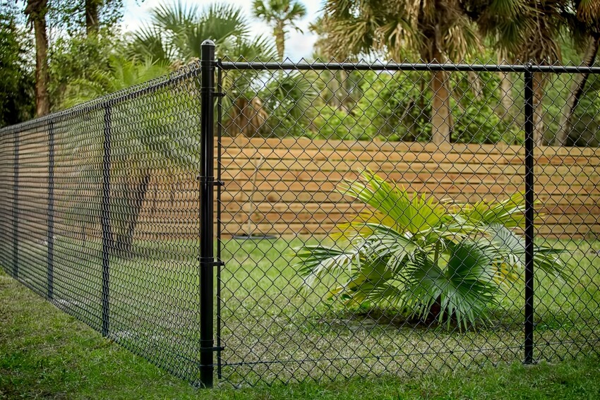 Backyard black chain link fence