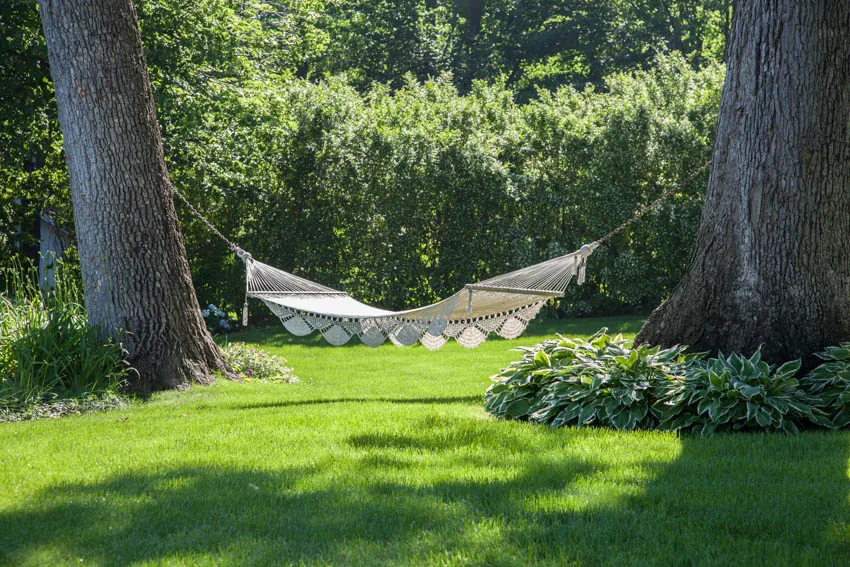 Backyard with hammock hanging from trees