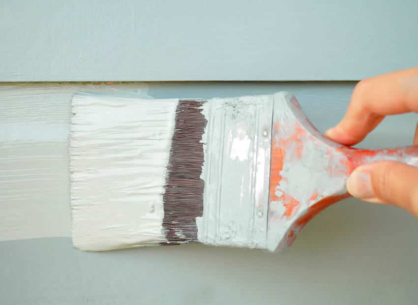 Close up of hand holding brush with paint