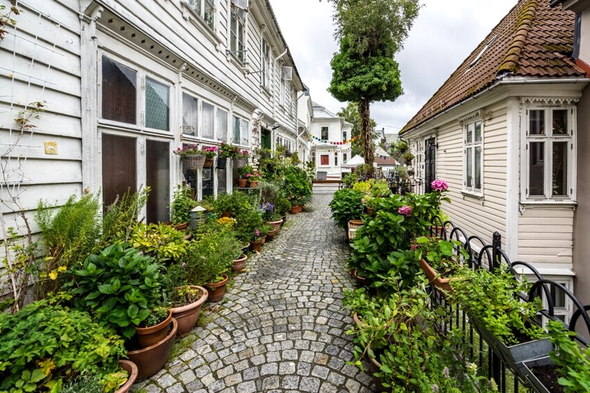 Cobbled street nicely decorated with plants and flowers