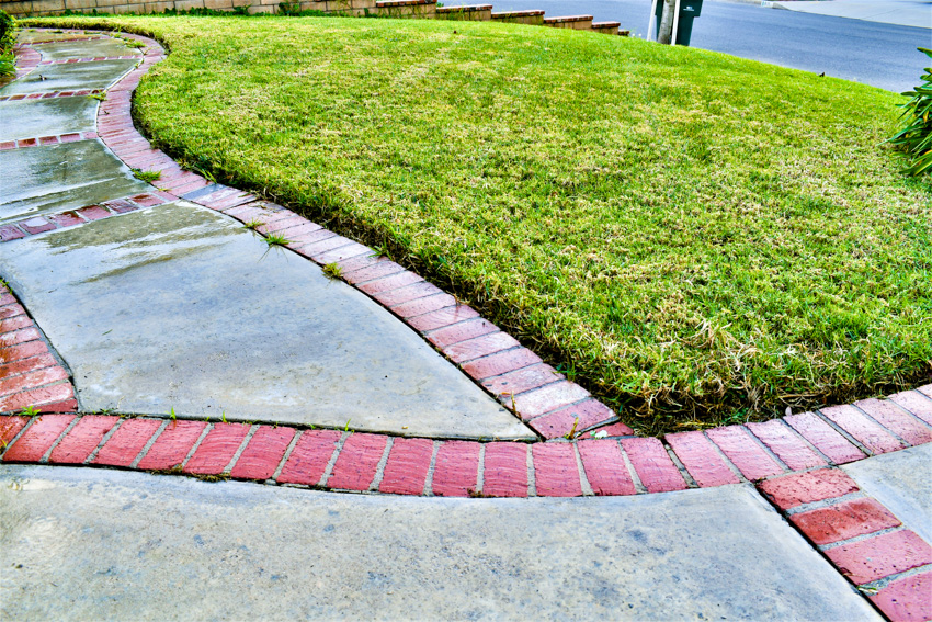 Concrete and brick walkway grass