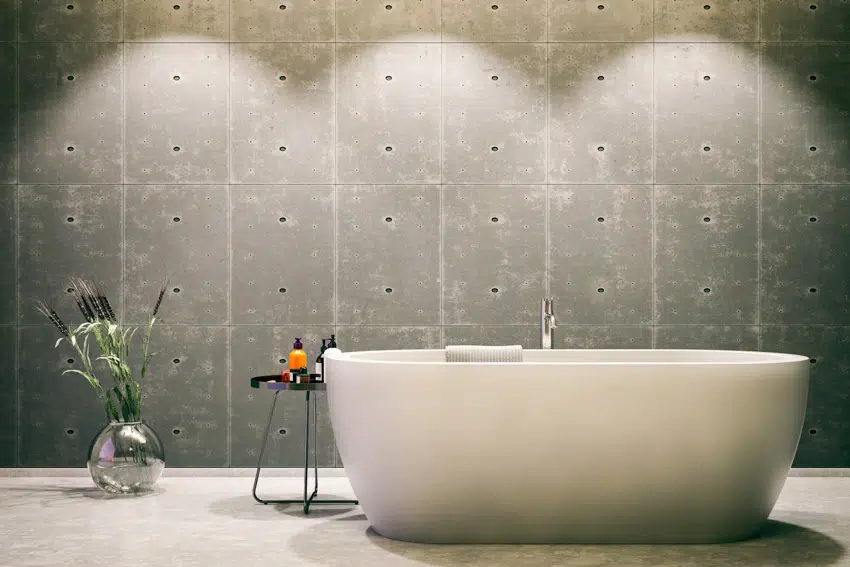 Concrete wall indoor plant bathtub