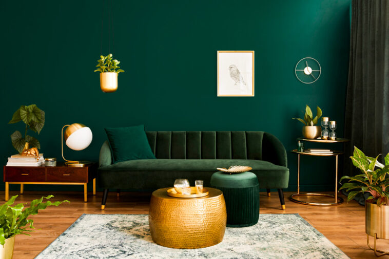 What Color Curtains for Green Walls (Best Matching Hues)