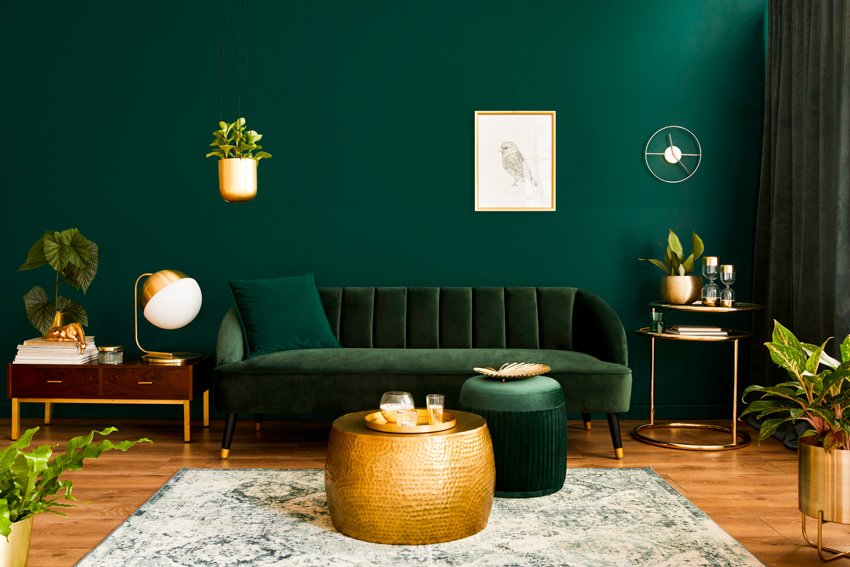 What Color Curtains For Green Walls Designing Idea   Dark Green Wall Couch Rug Curtain Indoor Plant Ss 