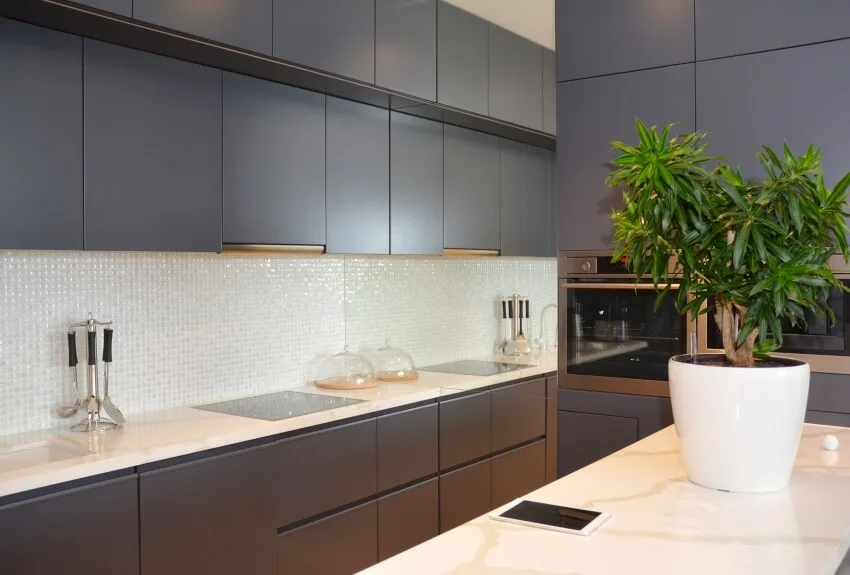 Dark kitchen cabinets with marble countertops and a pot with plants on the island