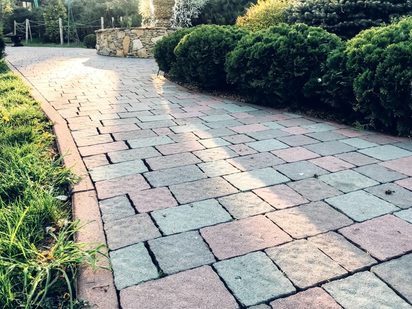 Garden with walkway cobblestone pavers and tile plants evergreen shrubs and deciduous trees landscaping