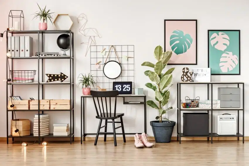 Home office interior with metal shelves, a black chair, and desk with laptop with leaves posters and ficus