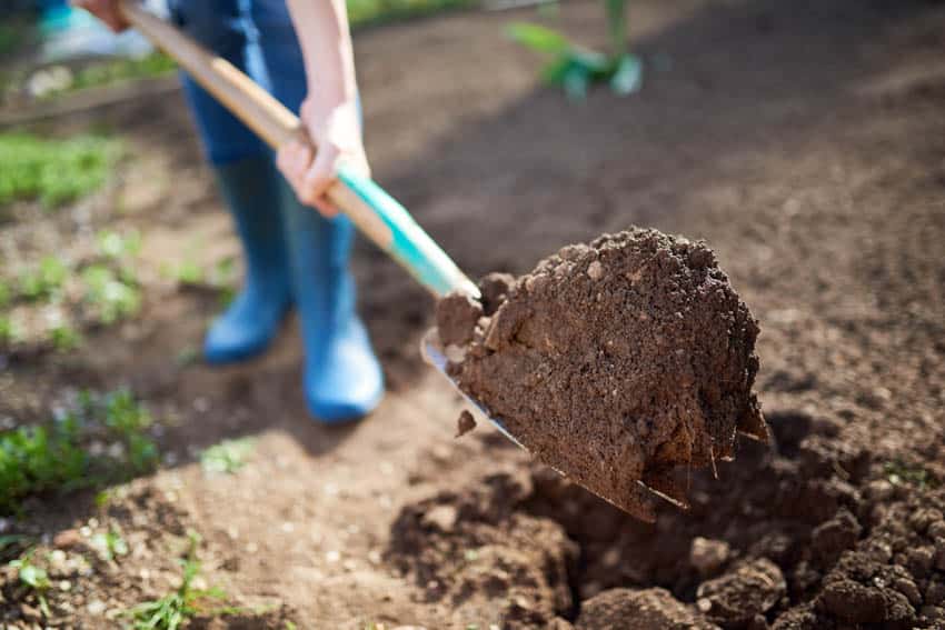 Man shoveling dirt