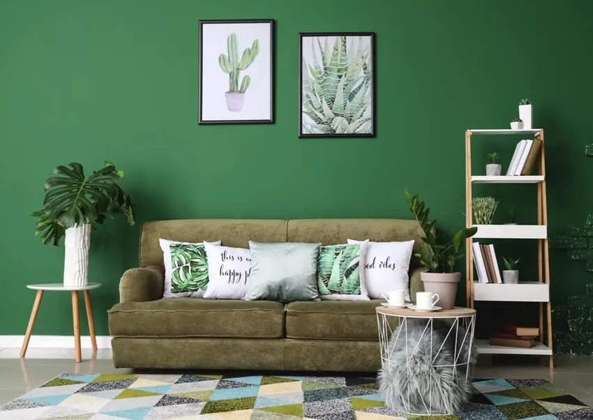 Modern room interior with furniture and framed plants paint on green wall