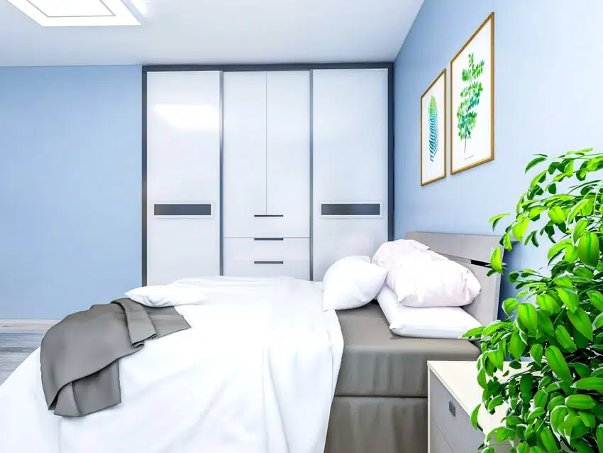 Spacious bedroom design with solid wood custom closet and double bed with blue walls 