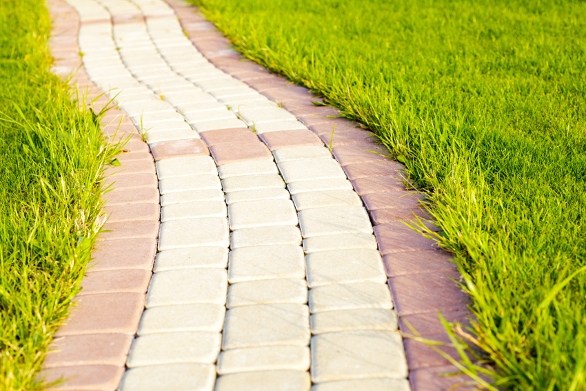 Walkway composed of white and red bricks 