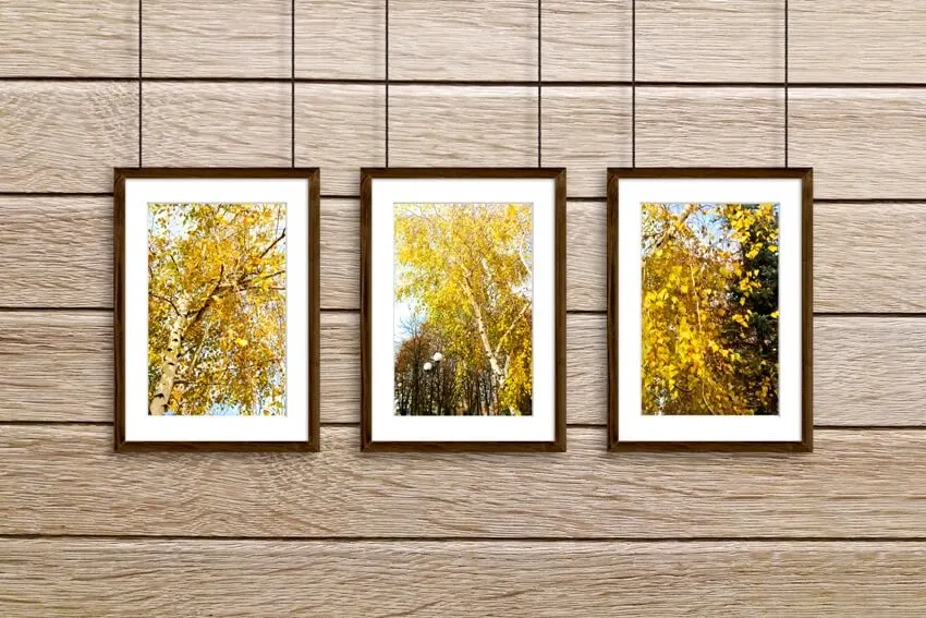Wooden frames hanging on wire against oak tree panels wall with colorful autumn pictures