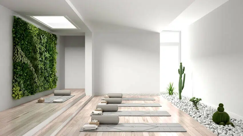 Yoga studio interior design with mats pillows and accessories parquet vertical garden and succulent plants with pebbles