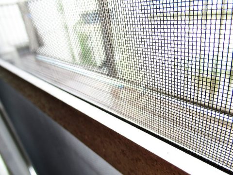 How to Clean Window Screens (9 Easy Techniques)