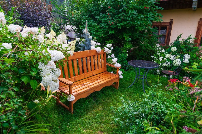 Blooming garden in a courtyard with a wooden bench large white flowers around it green plants and trees