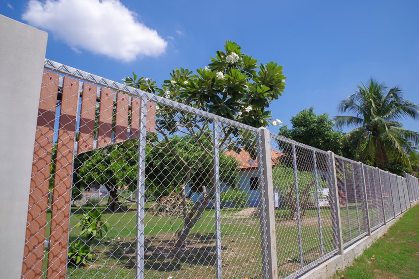 Chain link fence around residential property with trees, and plants
