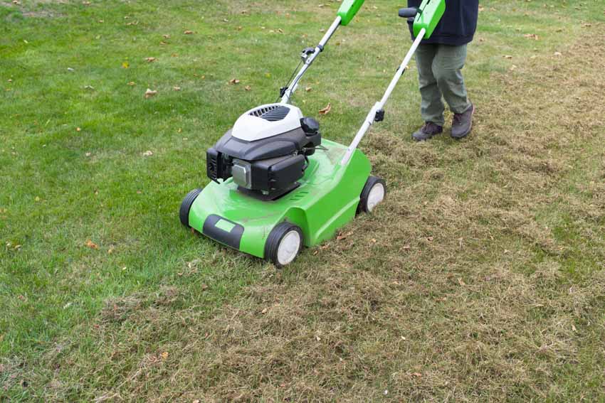 Contractor mowing lawn grass