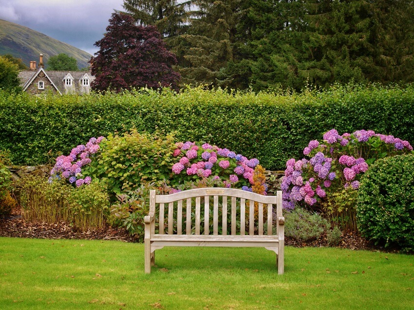 English garden bench with rhododendrons