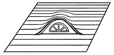 Eyebrow design