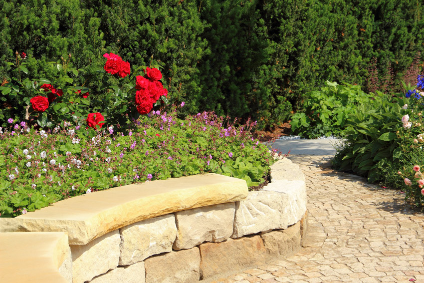 Flowers walkway limestone garden wall