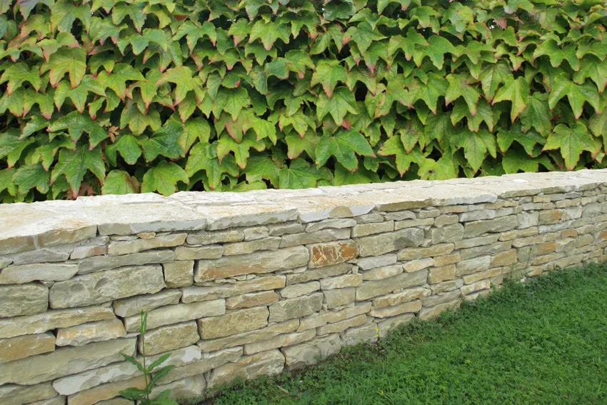Garden backyard stacked stone wall