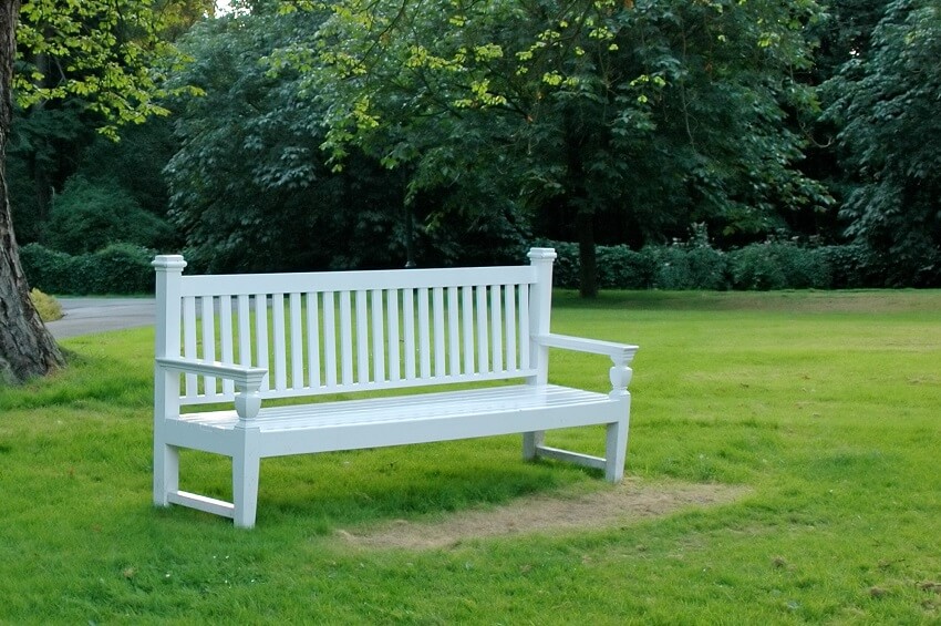 White bench amidst trees in a park