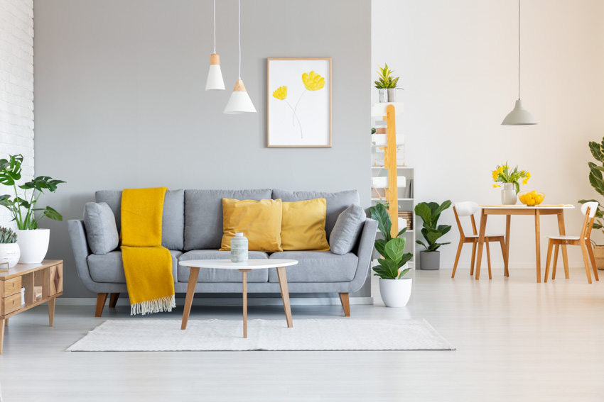 Gray colored wall sofa with yellow pillows indoor plants dining area rug