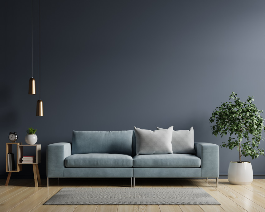 Gray wall light blue couch indoor plant 