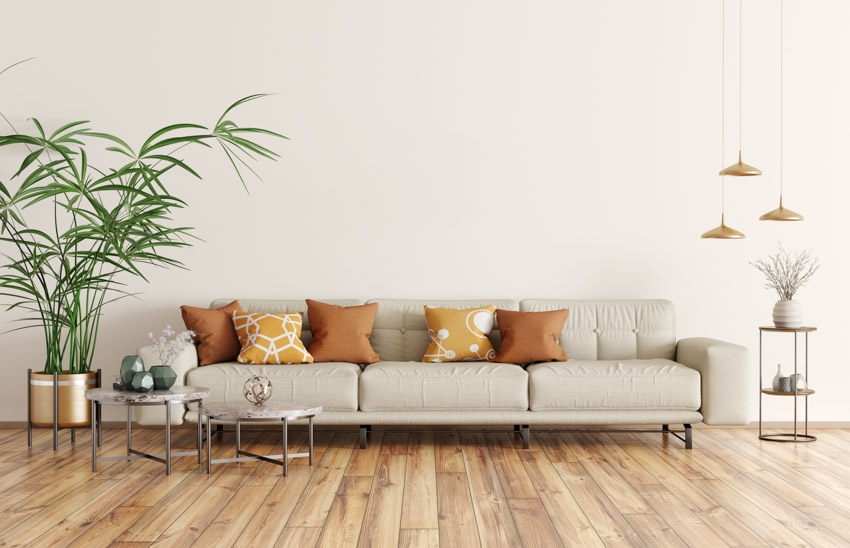 Living room hardwood flooring gray couch indoor plant