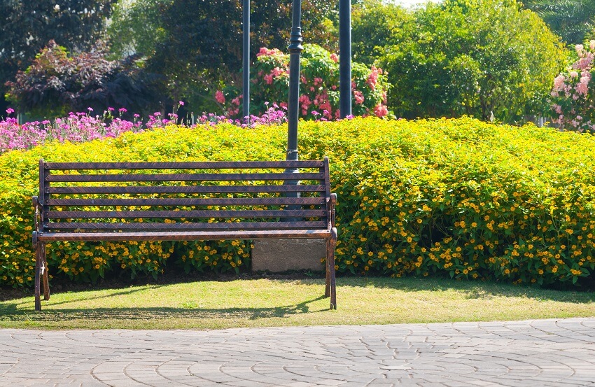 Metal decorative bench beside a flower garden