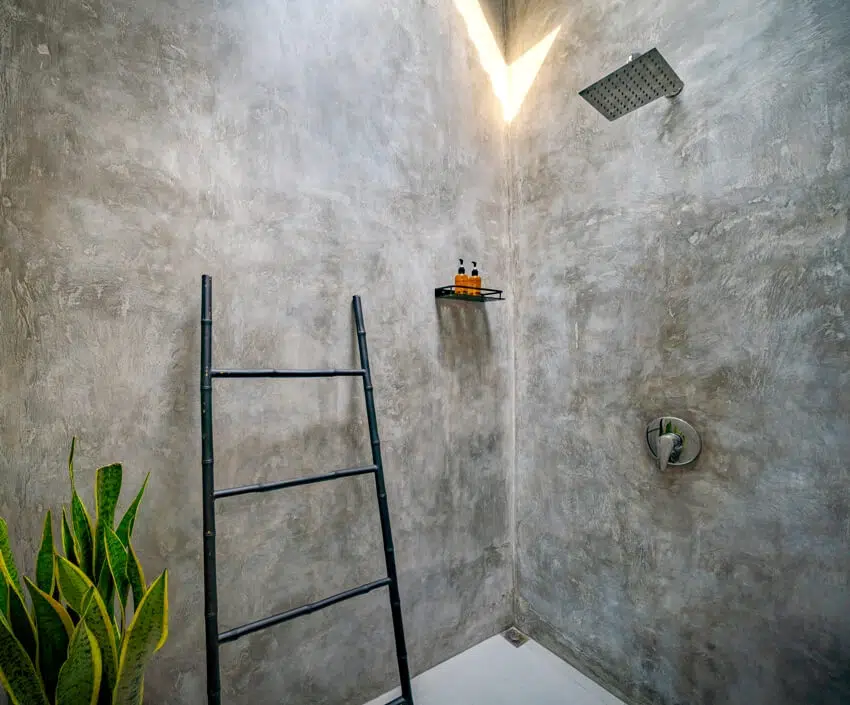 Bathroom with polished concrete stucco walls shower and tropical decorative plant
