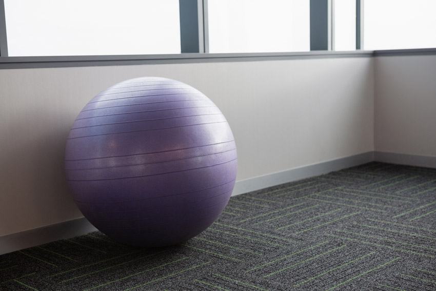 Purple exercise ball fitness windows