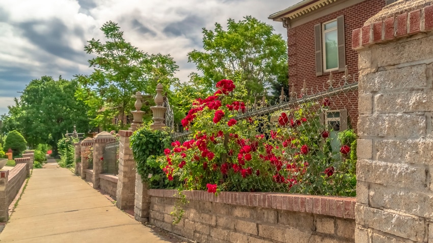 brick wall with fence