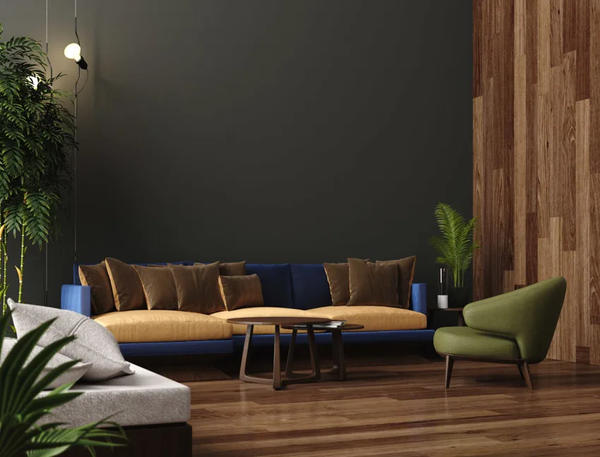 Room with timber flooring and panel black wall, and blue couch