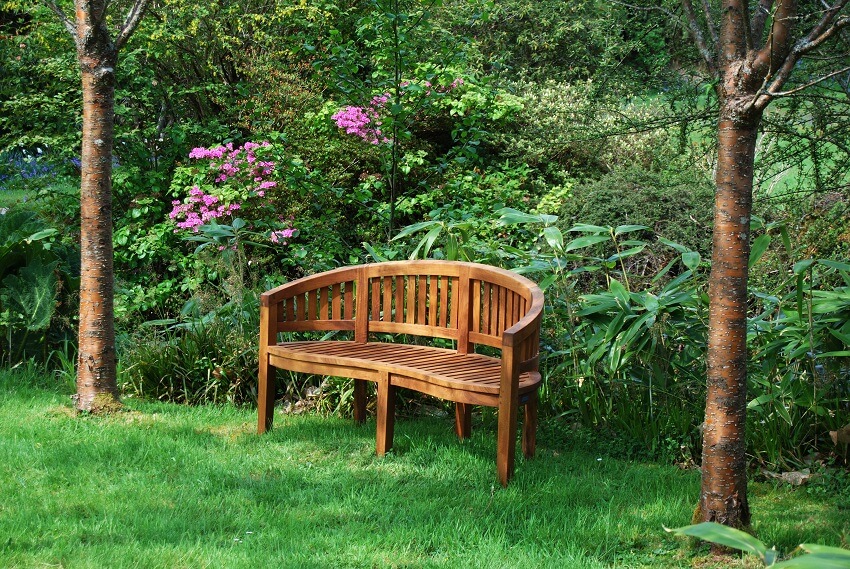 Bench made of wood and purple flowering plant