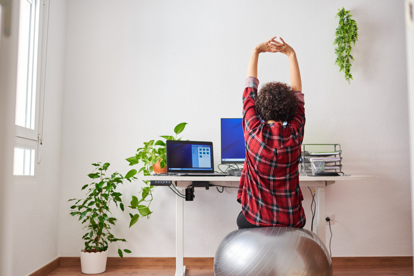 Work from home sitting on exercise ball indoor plant