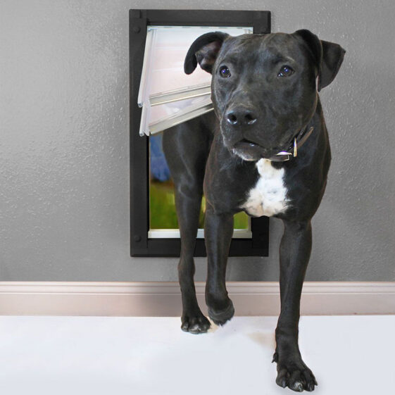 Dog Door Sizes Dimensions Measurement Guide dog-door-sizes-dimensions-measurement-guide