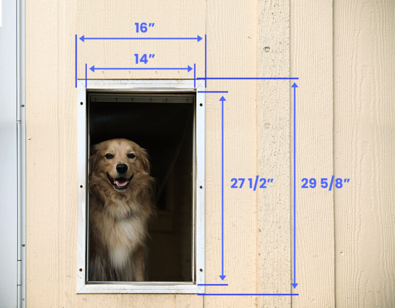 Dog Door Sizes (Dimensions & Measurement Guide)