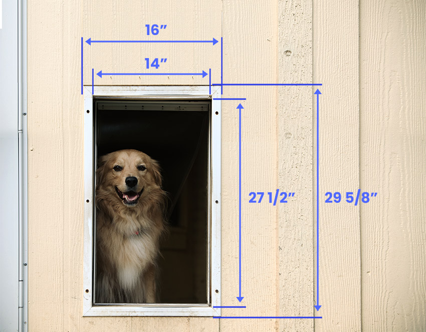 Extra large dog door size