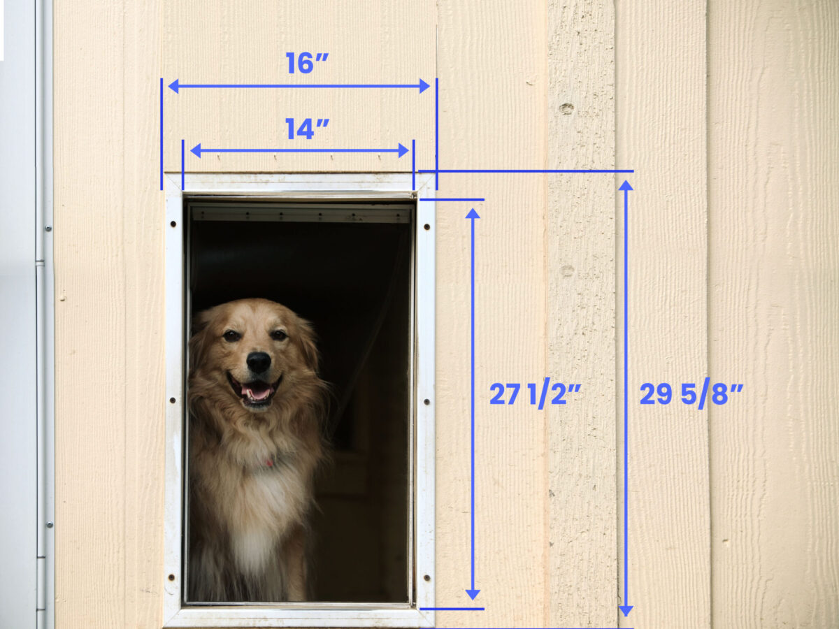 how-big-is-a-large-dog-door