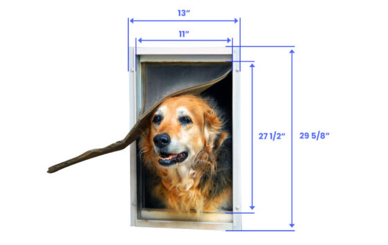 Dog Door Sizes (Dimensions & Measurement Guide) - Designing Idea