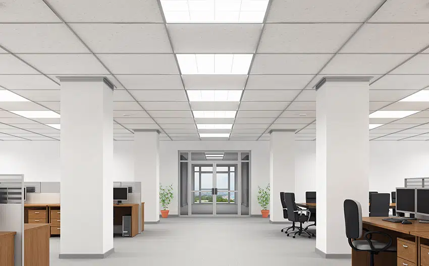 Large office with white paint drop ceiling glass doors
