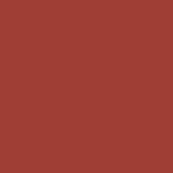 Sherwin Williams Chinese Red (SW 0057)