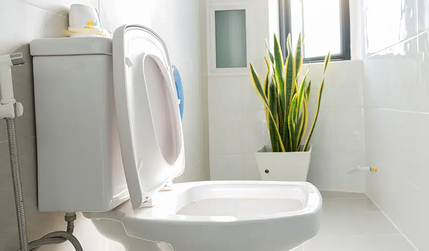 Two piece toilet with white tiles bathroom plant