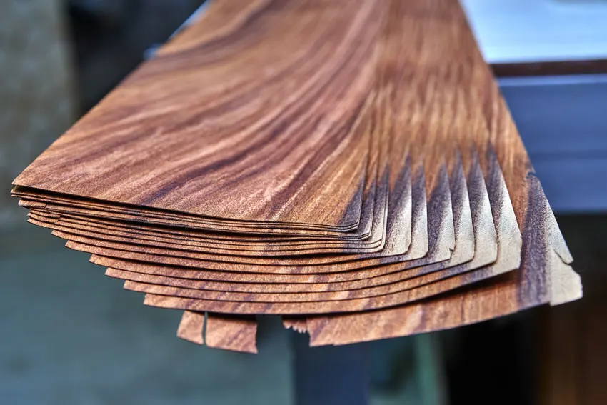 multiple veneer pieces