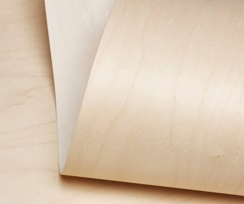 Backed maple veneer