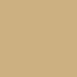 Benjamin Moore Wilmington Tan (HC-34)