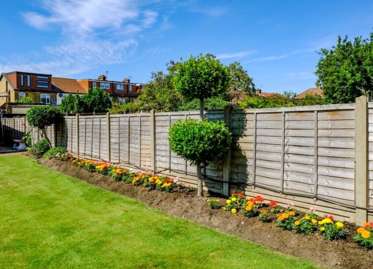 Shiplap Fencing (Types & Materials)